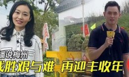梅州最新爆料消息新闻,揭秘当地热点事件背后的真相